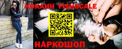 jwh Гатчина