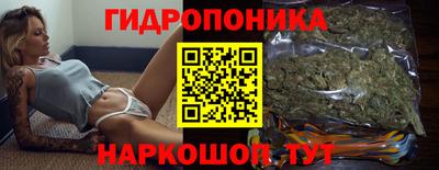 jwh Гатчина