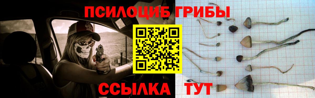Псилоцибиновые грибы MAGIC MUSHROOMS Лесозаводск